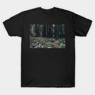 Muir Woods in California T-Shirt